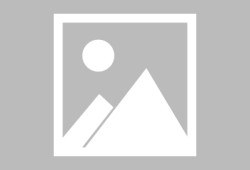 IM电竞-哈兰德打入欧冠第50球